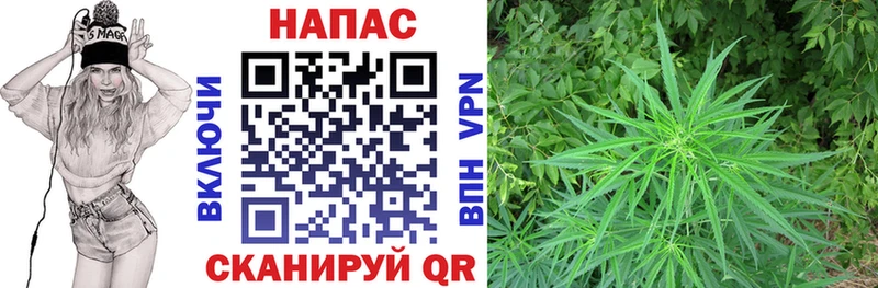 Купить наркотик Олонец Каннабис A-PVP Героин КОКАИН ГАШ