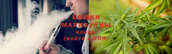 индика Нефтегорск