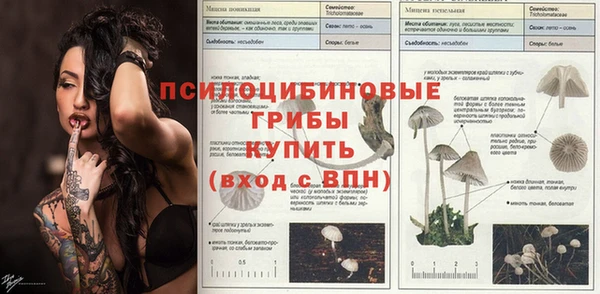 спиды Нея