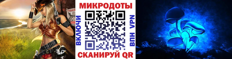 Псилоцибиновые грибы прущие грибы Олонец