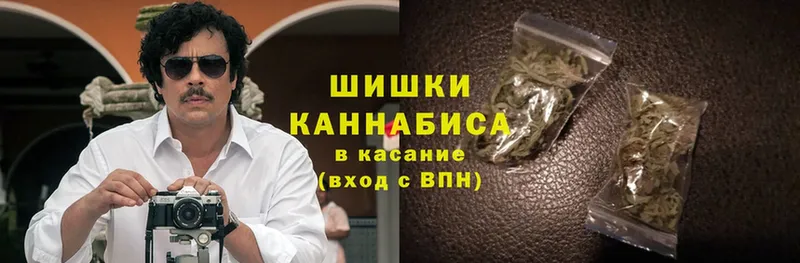 Канабис Amnesia  где продают наркотики  Олонец 